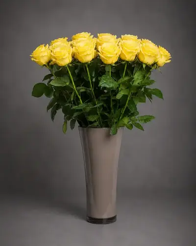 Rosen Hadar - Gelb