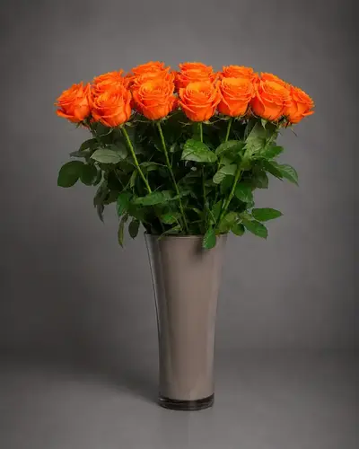 Rosen Acrux - Orange