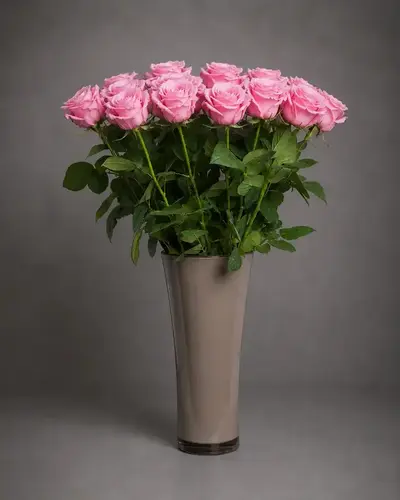 Rosen Achernar - Rosa