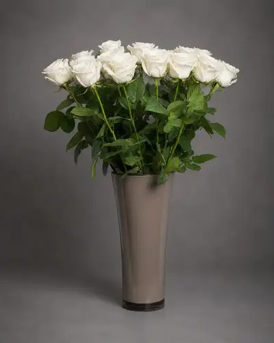 Rosen Spica - Weiß